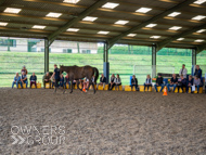 AH040924-12 - Anthony Honeyball Stable Visit